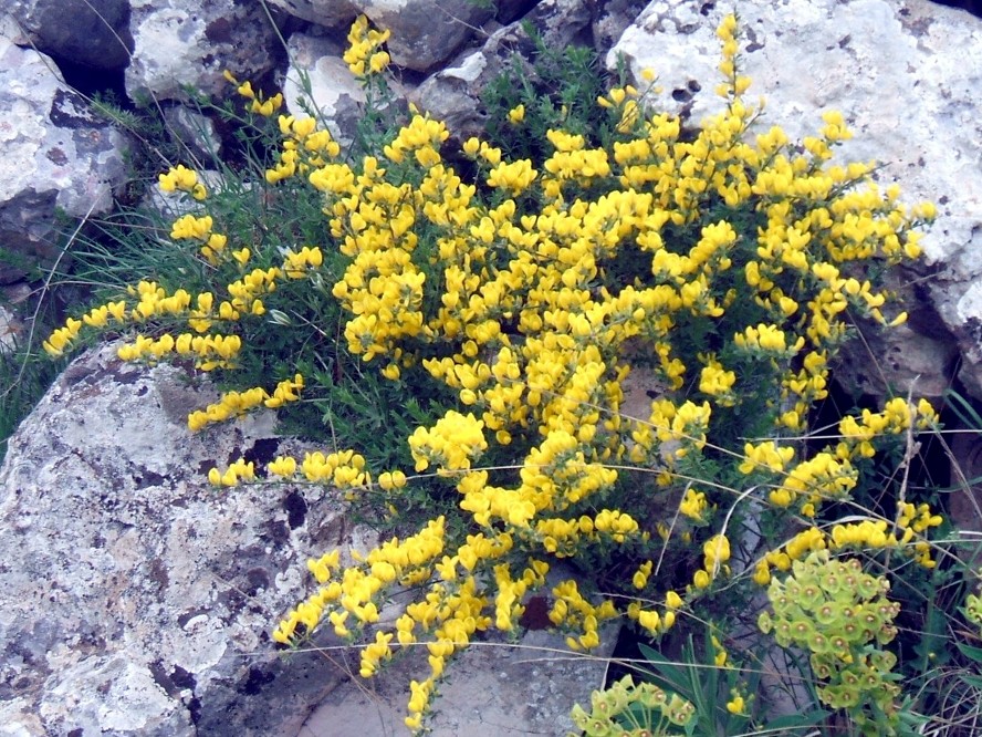 I colori del Gargano